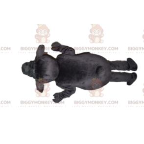 Traje de mascote de ovelha negra BIGGYMONKEY™. Traje de Ovelha