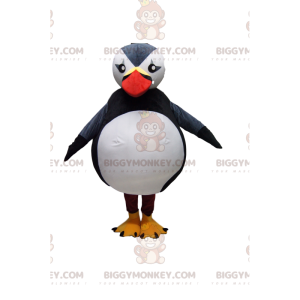 Στολή μασκότ Majestic Puffin BIGGYMONKEY™. φουσκωτό κοστούμι -