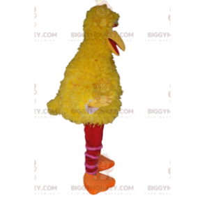 Disfraz de mascota pato amarillo gigante BIGGYMONKEY™. disfraz