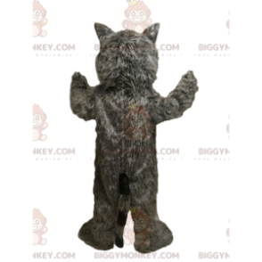 Traje de mascote BIGGYMONKEY™ de guaxinim cinza com lindos