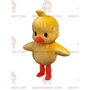 Meget sød gul chick BIGGYMONKEY™ maskot kostume. kylling