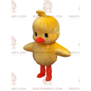 Muy lindo disfraz de mascota de pollito amarillo BIGGYMONKEY™.