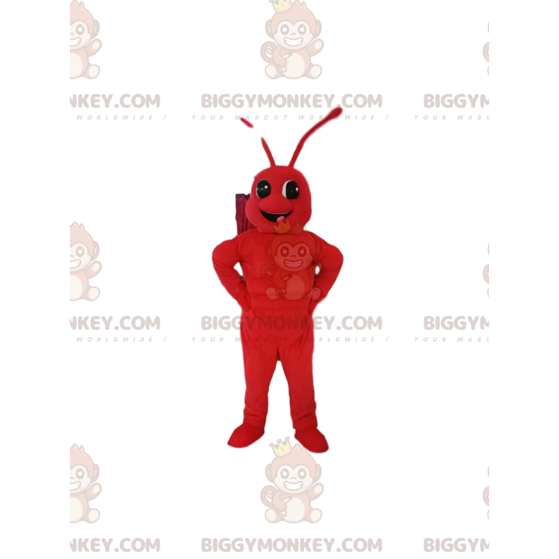 Red Ant BIGGYMONKEY™ maskottiasu. muurahainen puku -