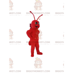 Red Ant BIGGYMONKEY™ maskottiasu. muurahainen puku -