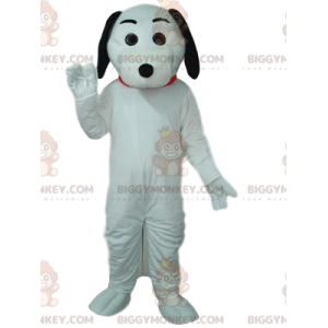 BIGGYMONKEY™ costume mascotte di cane bianco, con orecchie