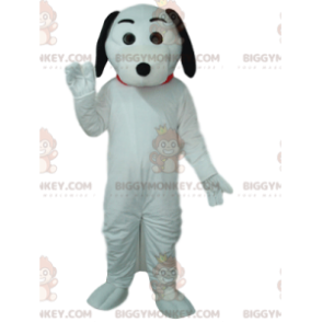 BIGGYMONKEY™ costume mascotte di cane bianco, con orecchie