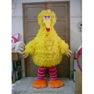 Cały włochaty, żółty i różowy ptaszek kostium maskotki