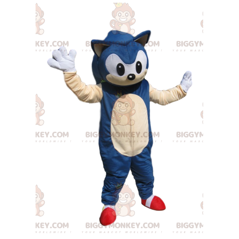 Costume de mascotte BIGGYMONKEY™ de Sonic, le super hérisson