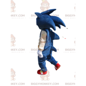 BIGGYMONKEY™ Costume da mascotte di Sonic the Blue Sega Super