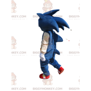 Costume de mascotte BIGGYMONKEY™ de Sonic, le super hérisson