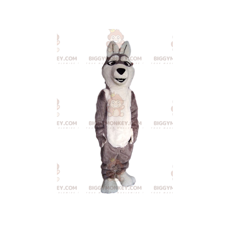Costume mascotte BIGGYMONKEY™ cane lupo grigio e bianco. -