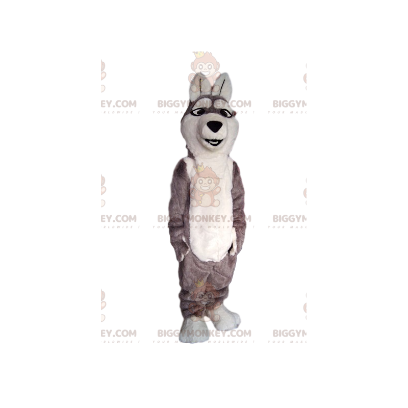 Gray and White Wolf Dog BIGGYMONKEY™ Mascot Costume. –