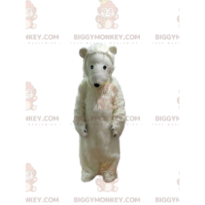 Costume da mascotte dell'orso polare così accattivante