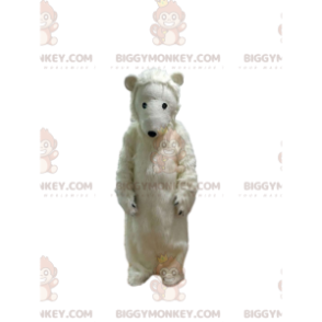 So liebenswerter Eisbär BIGGYMONKEY™ Maskottchen-Kostüm -