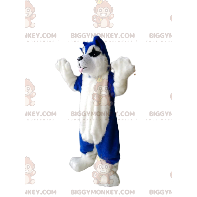 Blå och vit hund BIGGYMONKEY™ maskotdräkt - BiggyMonkey maskot
