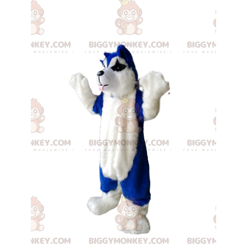 Costume mascotte BIGGYMONKEY™ cane blu e bianco -