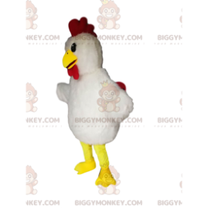 Traje de mascote de frango BIGGYMONKEY™ com linda plumagem