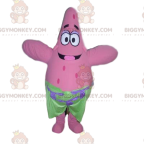 Mascot of Patrick The Starfish, from SpongeBob SquarePants –