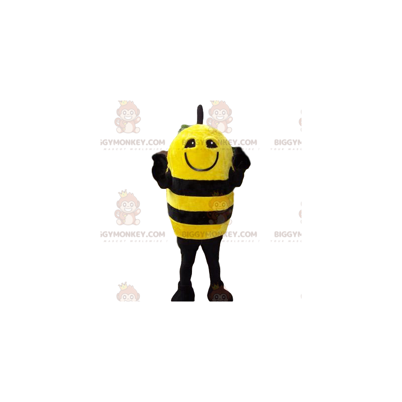 Traje de mascote engraçado de abelha amarela e preta