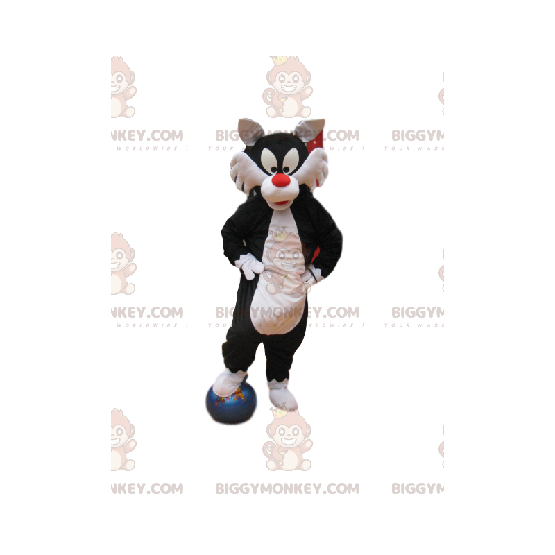 Sylvester BIGGYMONKEY™ maskotdräkt, från den tecknade Looney
