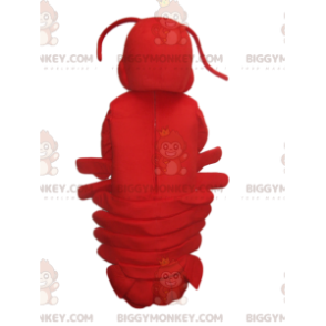 Super süßes Red Lobster BIGGYMONKEY™ Maskottchenkostüm. Hummer