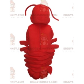 Supersöpö punainen hummeri BIGGYMONKEY™ maskottiasu. hummeri
