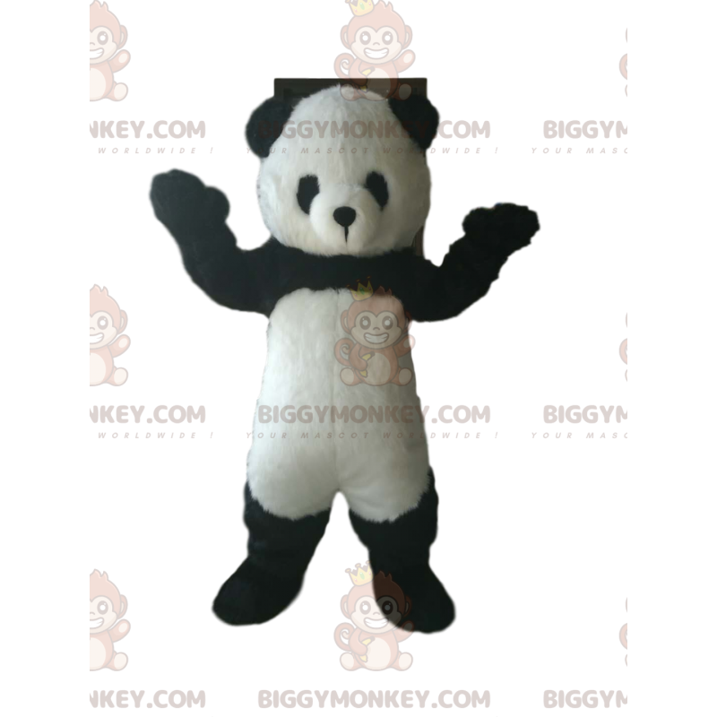 Costume da mascotte Panda BIGGYMONKEY™ con piccolo muso tondo -