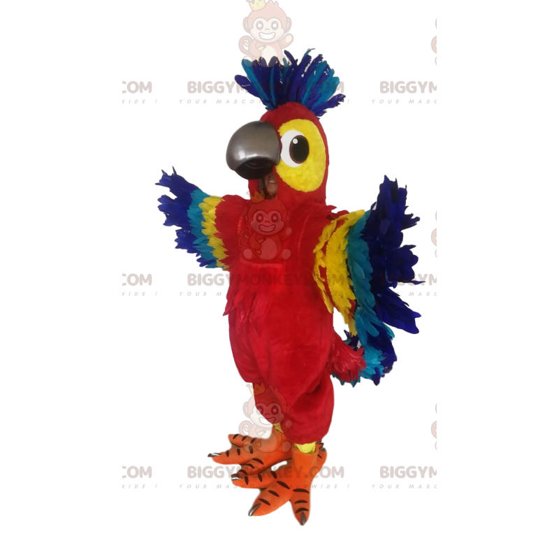 Traje de mascote de papagaio multicolorido super alegre
