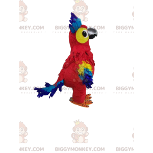 Traje de mascote de papagaio multicolorido super alegre