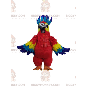 Costume da mascotte Pappagallo multicolore super allegro