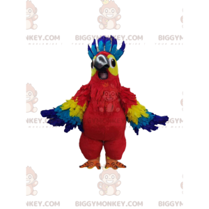 Traje de mascote de papagaio multicolorido super alegre