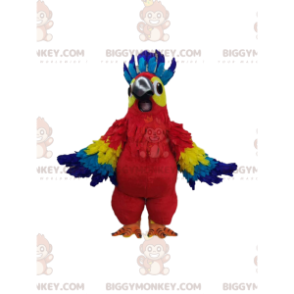 Costume da mascotte Pappagallo multicolore super allegro