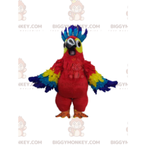 Costume de mascotte BIGGYMONKEY™ de perroquet multicolore super