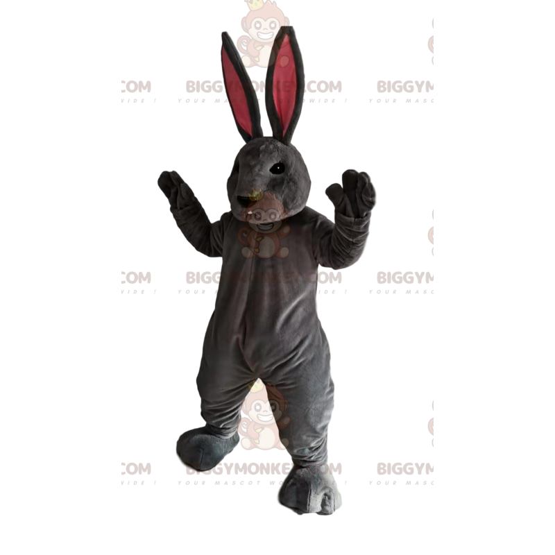 Disfraz de mascota BIGGYMONKEY™ Conejo gris con enormes orejas