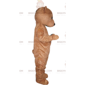 Ruskea Cub BIGGYMONKEY™ maskottiasu. karhun puku -