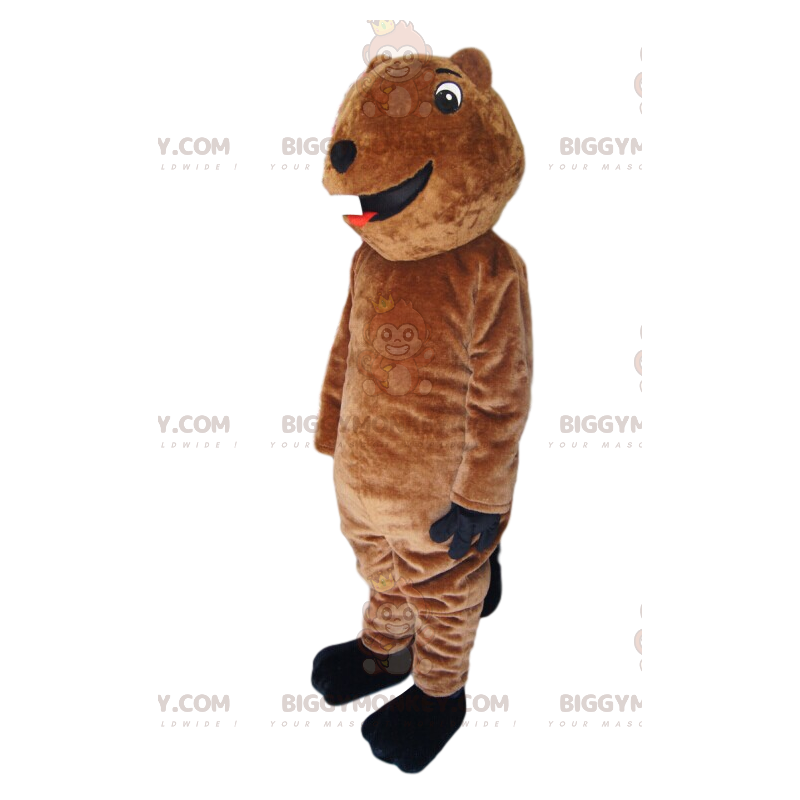 Velmi zábavný kostým maskota medvěda hnědého BIGGYMONKEY™.