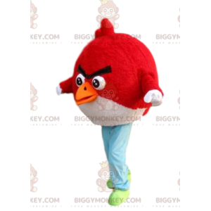 Disfraz de mascota Angry Bird BIGGYMONKEY™ rojo y negro -