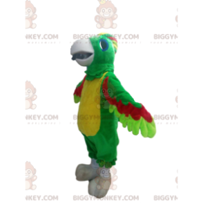 Kostium maskotka wielokolorowa papuga BIGGYMONKEY™ ze słodkim
