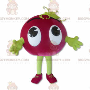 Druiven BIGGYMONKEY™ mascottekostuum - Biggymonkey.com