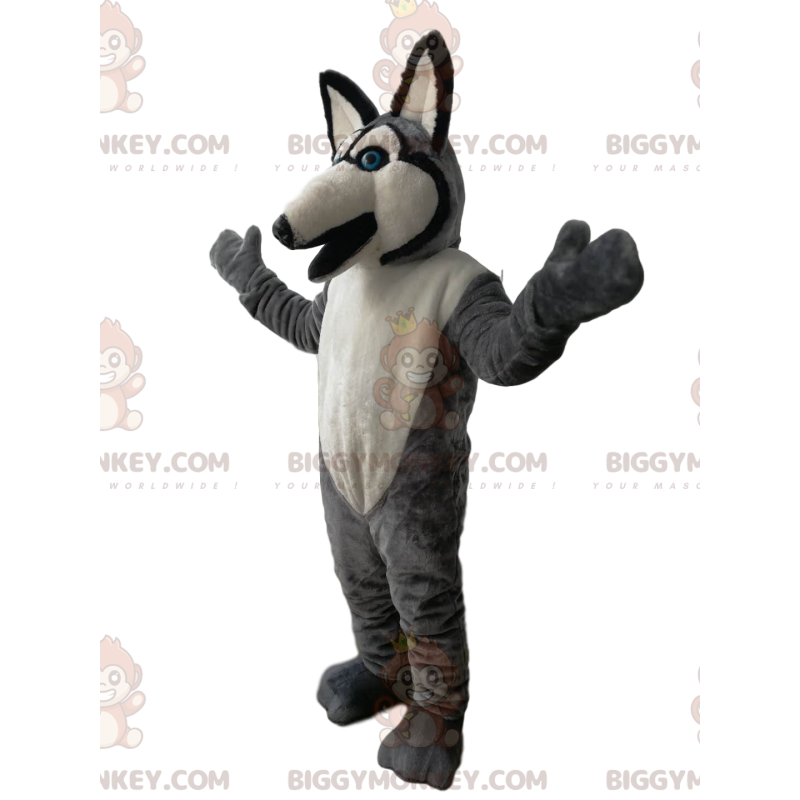 BIGGYMONKEY™ mascottekostuum grijze en witte wolf met blauwe