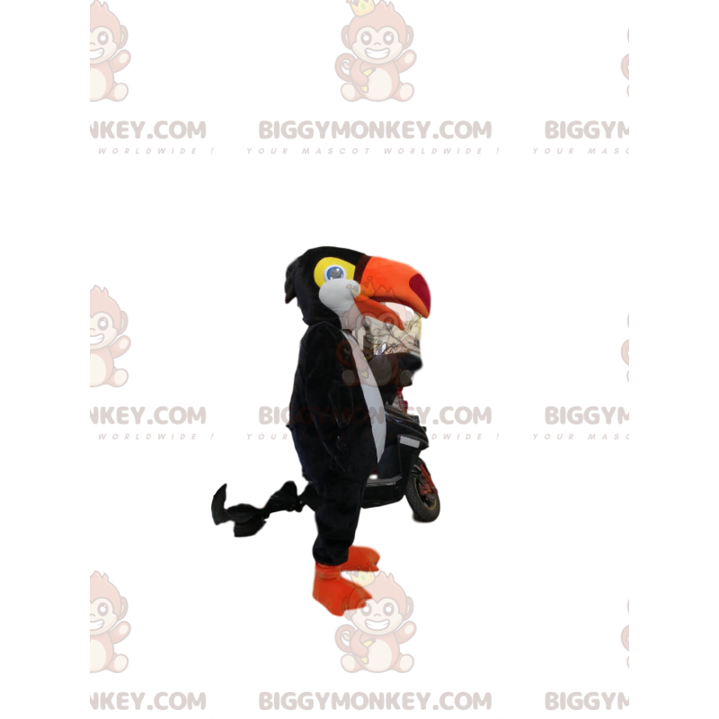 BIGGYMONKEY™ mascottekostuum van zwart-witte toekan met