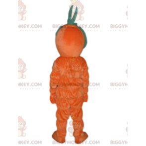 BIGGYMONKEY™ Maskotdräkt Leende orange man med konstigt grönt