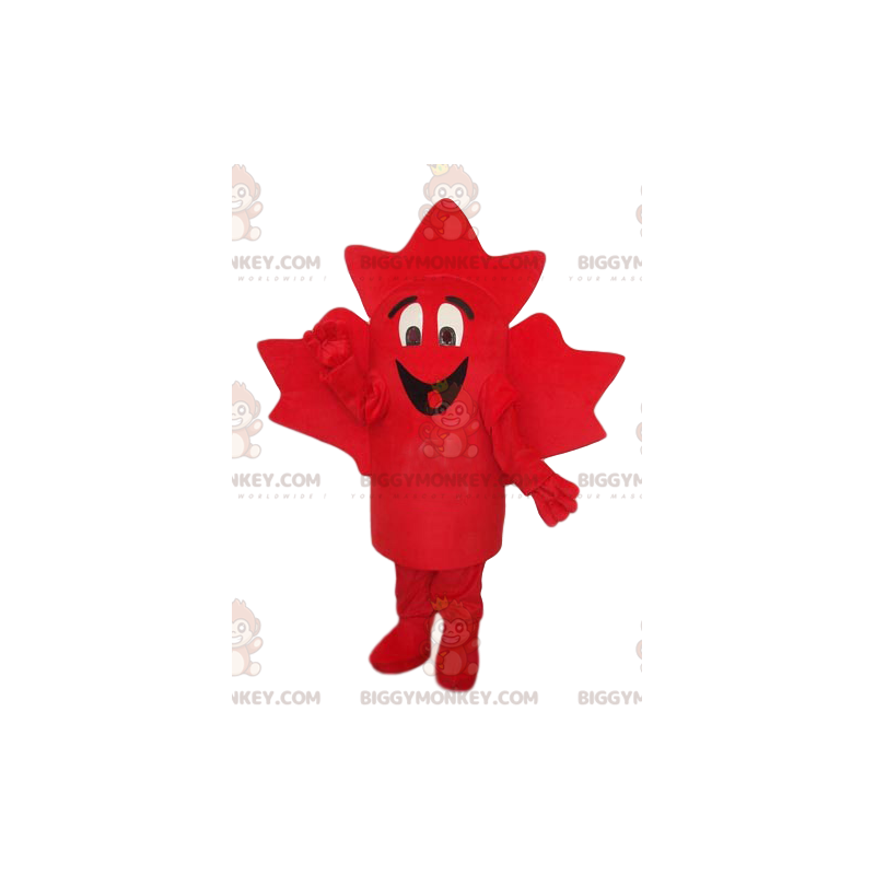 Costume da mascotte BIGGYMONKEY™ con foglia d'acero rossa molto