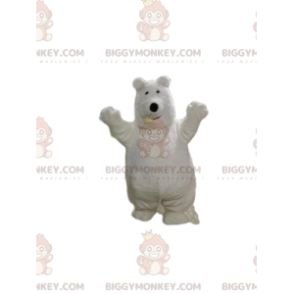 Costume de mascotte BIGGYMONKEY™ d'ours blanc. Costume d'ours