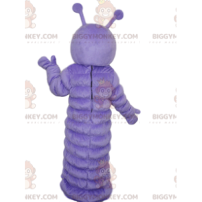 Traje de mascote BIGGYMONKEY™ de lagarta roxa com um visual