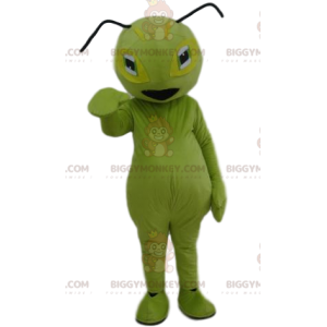 Kostým maskota zeleného mravence BIGGYMONKEY™. Kostým zeleného