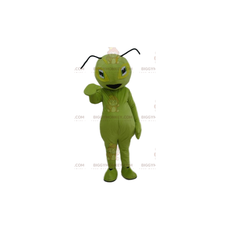 Green Ant BIGGYMONKEY™ Mascot Costume. Green ant costume –