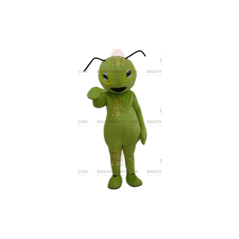 Green Ant BIGGYMONKEY™ maskottiasu. Vihreä muurahainen puku -