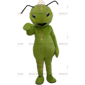 Costume da mascotte BIGGYMONKEY™ della formica verde. Costume