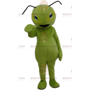 Green Ant BIGGYMONKEY™ Mascot Costume. Green ant costume –